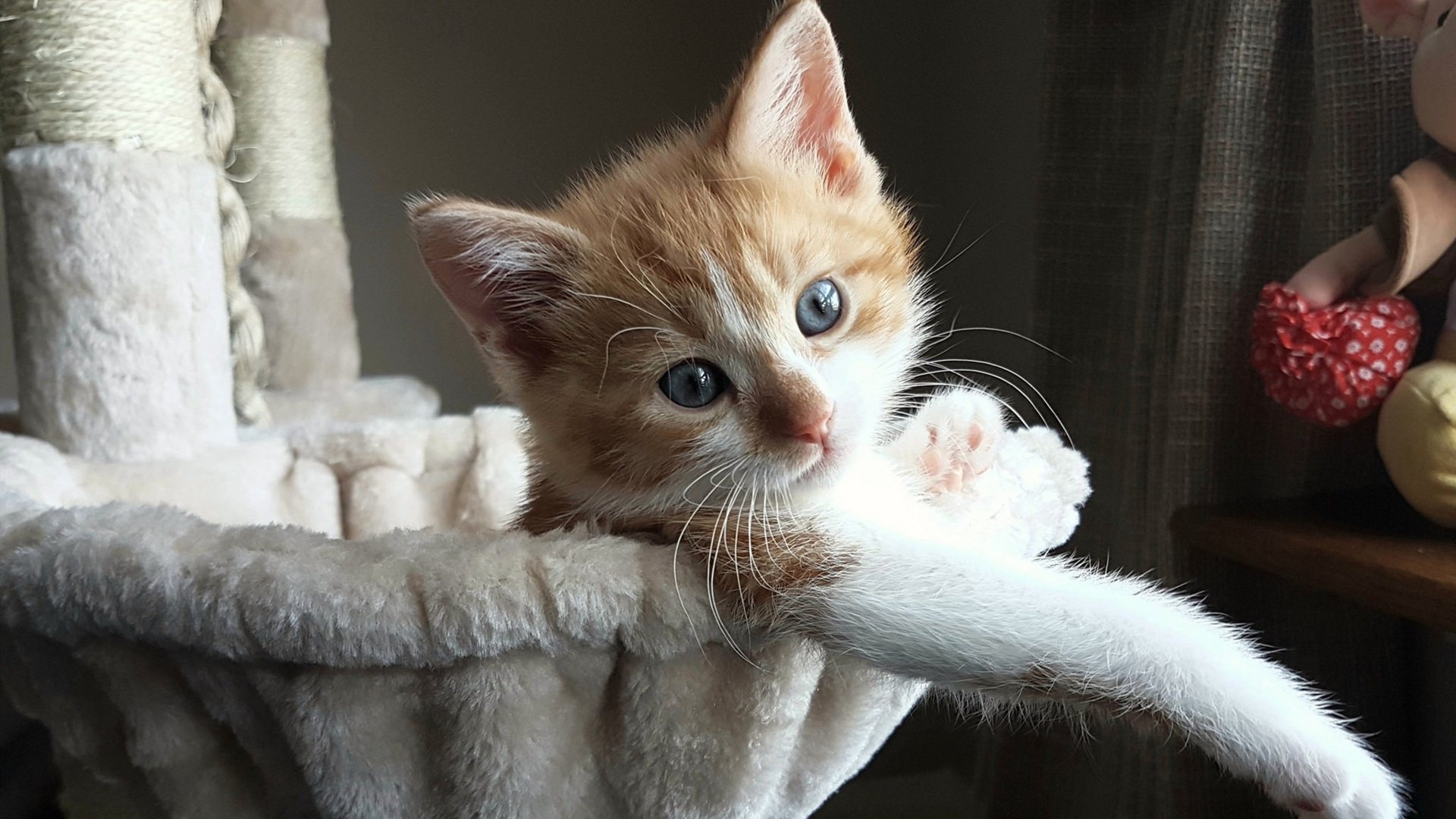 绝境3.2秒!灵魂出窍的西亚卡姆,用一记救赎让浙江队看见地狱